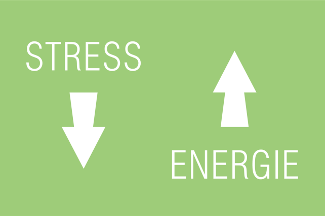 Stress runter - Energie hoch