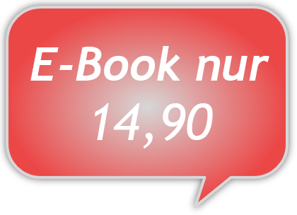 E-Book nur